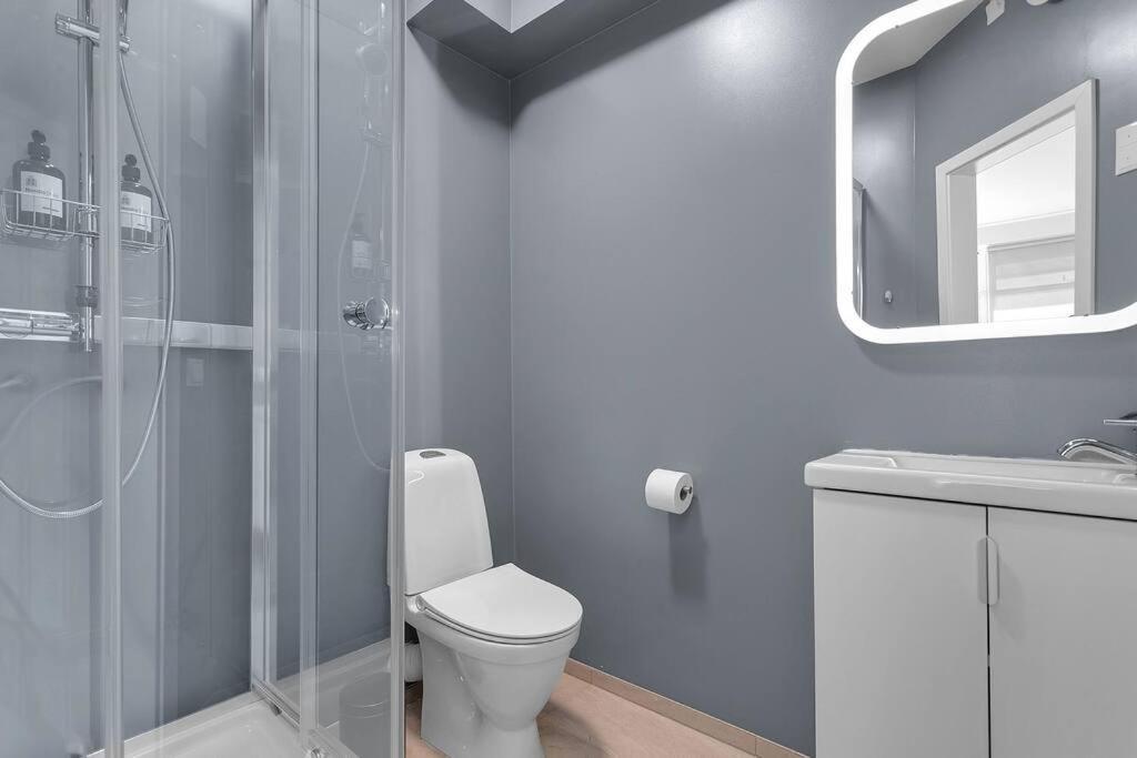 Cozy Studio In Рейк'явік Екстер'єр фото